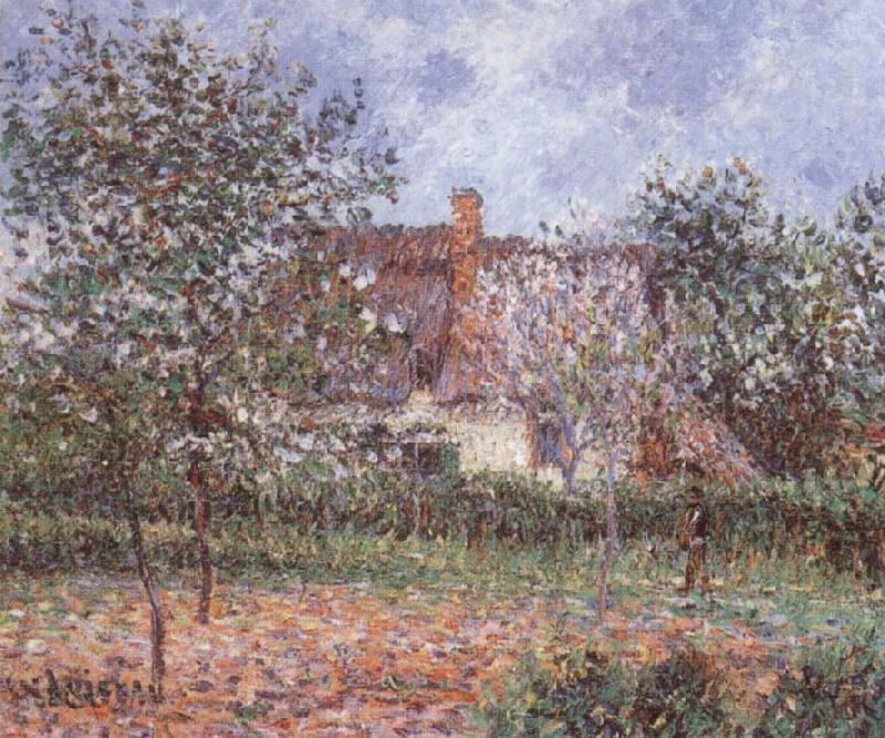 Gustave Loiseau Orchard in Spring Sweden oil painting art